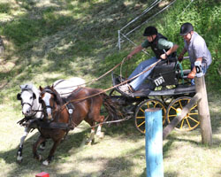 Die Bronzemedaille bei den Ponyfahrern ging an Daniel Fritz (Warsow).